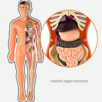 Thumbnail for Menselijk Lichaams Anatomie Model | Educatief Speelgoed - Ontdek het Lichaam