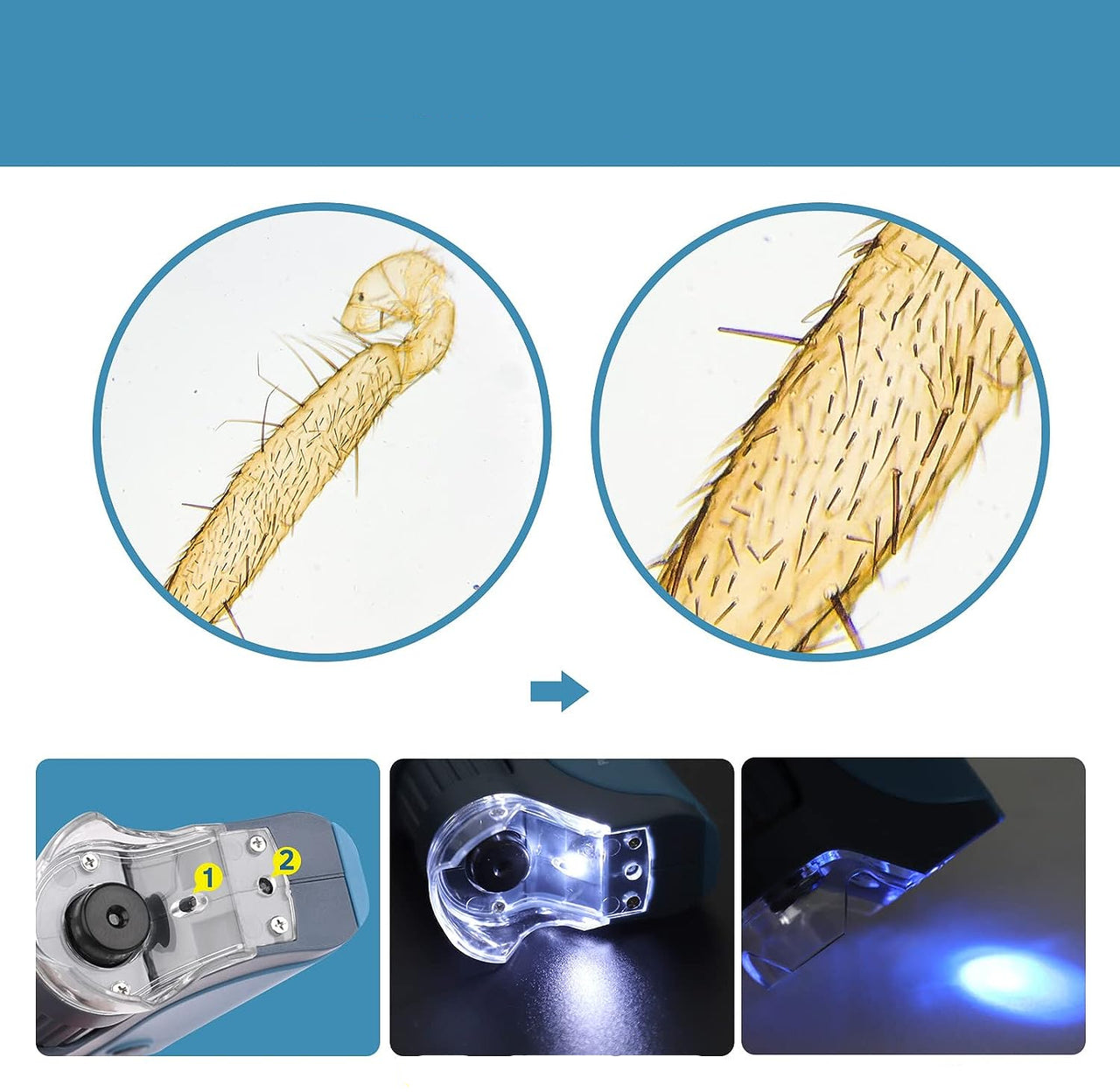 MicroQuest | Scopri il mondo invisibile - Microscopio portatile con 3 lenti e illuminazione LED