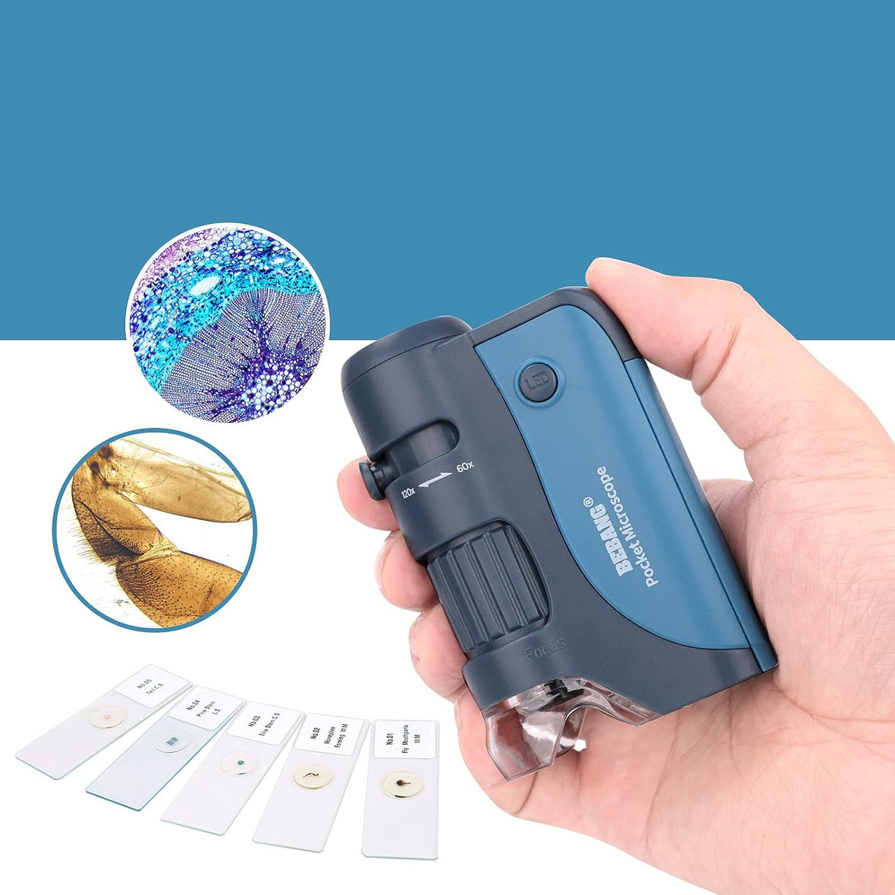 MicroQuest | Scopri il mondo invisibile - Microscopio portatile con 3 lenti e illuminazione LED