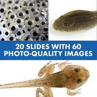 Thumbnail for MiniScope | Discover the micro-world - Educational STEM microscope for children