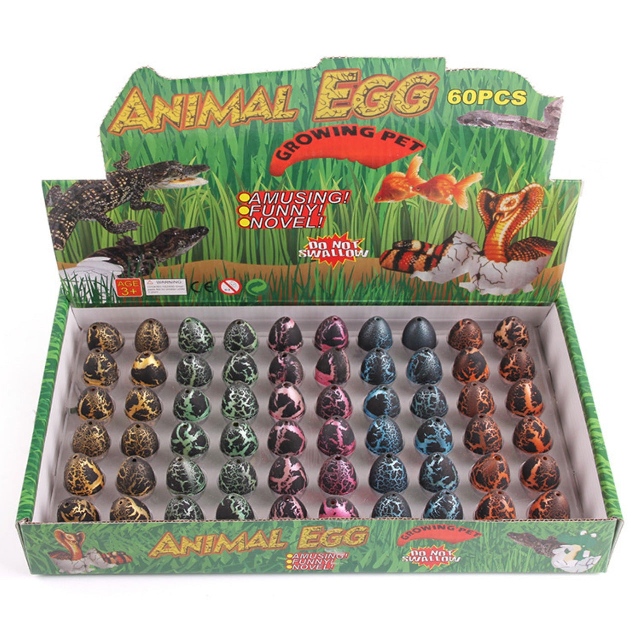 Water Expansion Dino Eieren| Magisch Speelgoed - Zie Dinosaurussen Groeien