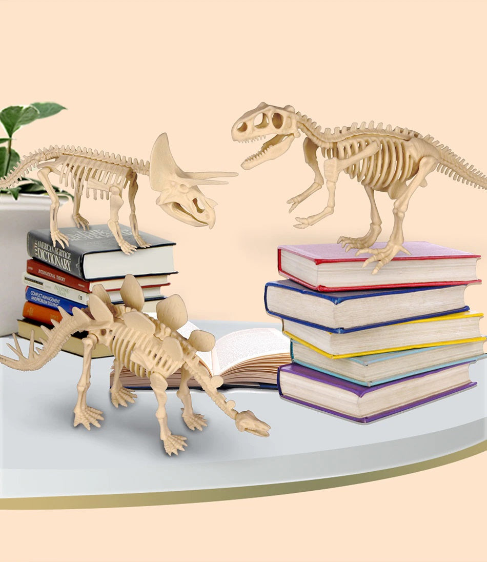 DinoDiggers | Erlebe ein spannendes archäologisches Abenteuer! - Grabe und entdecke Dinosaurierfossilien mit diesem lehrreichen Ausgrabungsset.