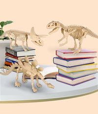 Thumbnail for DinoDiggers | Erlebe ein spannendes archäologisches Abenteuer! - Grabe und entdecke Dinosaurierfossilien mit diesem lehrreichen Ausgrabungsset.