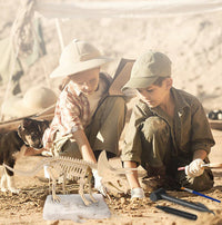 Thumbnail for DinoDiggers | Erlebe ein spannendes archäologisches Abenteuer! - Grabe und entdecke Dinosaurierfossilien mit diesem lehrreichen Ausgrabungsset.