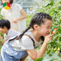 Thumbnail for Insectenset voor Kinderen met Terrarium, Vergrootglas en Vangnet - Educatief Speelgoed voor Buitenavonturen 3