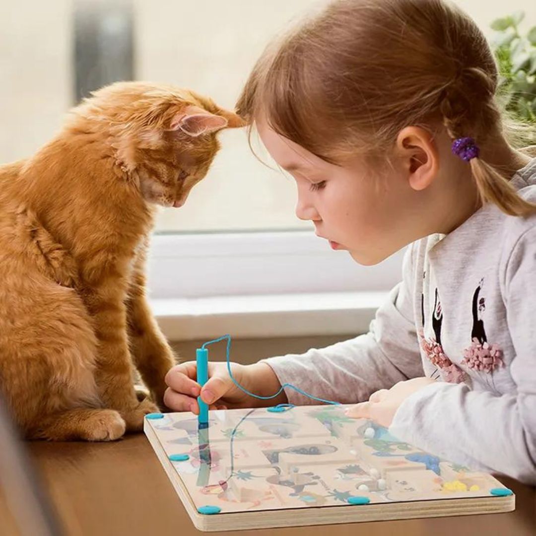 Magnetisch Dinosaurussen Labyrint | Educatief spel voor peuters 3+ – Plezierig leren kleuren en tellen 2