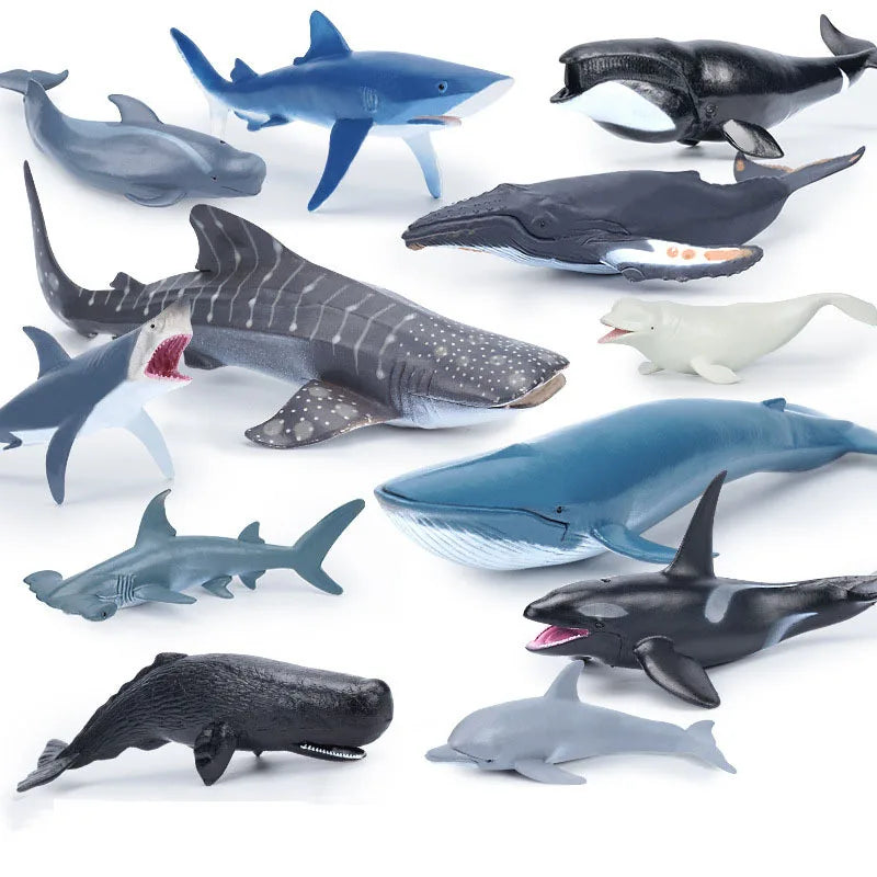 Oceanimals | Leren & Decoreren – Realistisch Zeeleven Speelgoed voor Kinderen