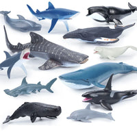 Thumbnail for Oceanimals | Leren & Decoreren – Realistisch Zeeleven Speelgoed voor Kinderen