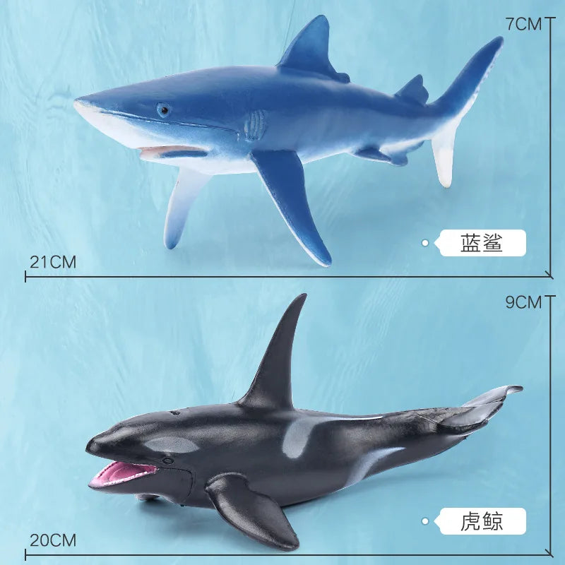 Oceanimals | Leren & Decoreren – Realistisch Zeeleven Speelgoed voor Kinderen
