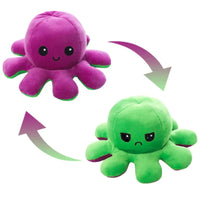 Thumbnail for Omkeerbare Octopus | Twee Gezichtsuitdrukkingen - Emoties in een Draai