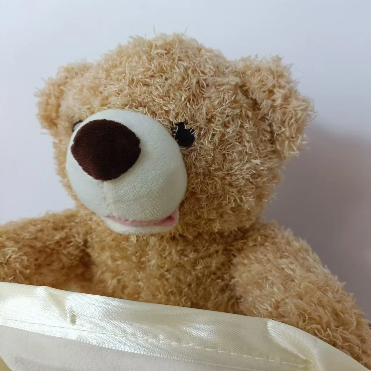PeekABear | Diversión mágica para cada niño - Oso de peluche interactivo