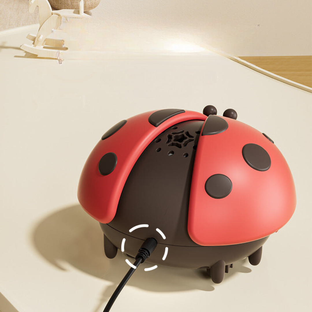 Ladybug Wonder Blower | Speel en Leer met Ballen - Educatief Speelgoed voor Kinderen