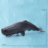 Thumbnail for Oceanimals | Leren & Decoreren – Realistisch Zeeleven Speelgoed voor Kinderen