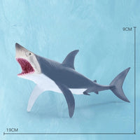 Thumbnail for Oceanimals | Leren & Decoreren – Realistisch Zeeleven Speelgoed voor Kinderen