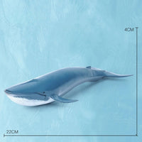 Thumbnail for Oceanimals | Leren & Decoreren – Realistisch Zeeleven Speelgoed voor Kinderen