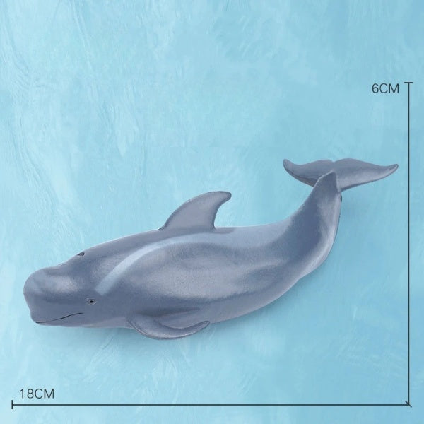 Oceanimals | Leren & Decoreren – Realistisch Zeeleven Speelgoed voor Kinderen