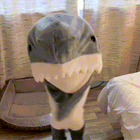 Thumbnail for Manta Tiburón | Acogedora - Manta Tiburón Portátil para Todos