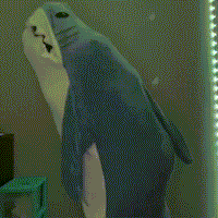 Thumbnail for Manta Tiburón | Acogedora - Manta Tiburón Portátil para Todos