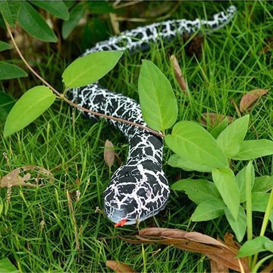 SnakeTrick | Réactions de peur hilarantes garanties ! - Serpent télécommandé pour blagues et jeux html Copy Edit