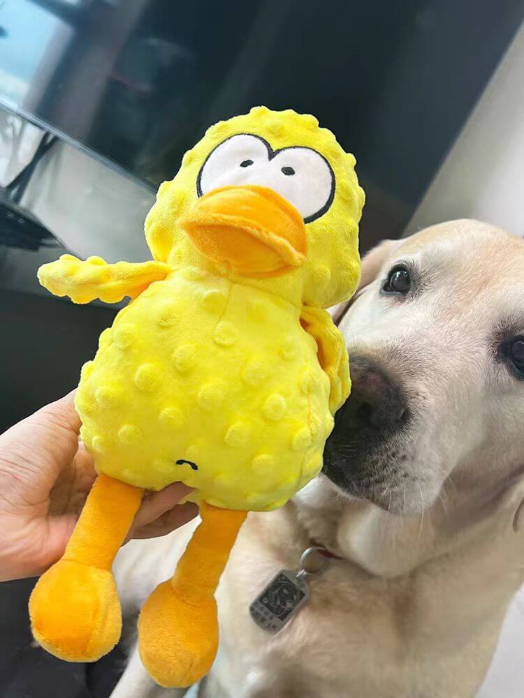 PawBuddy | Le jouet câlin et à mâcher ultime - Jouet interactif pour chien